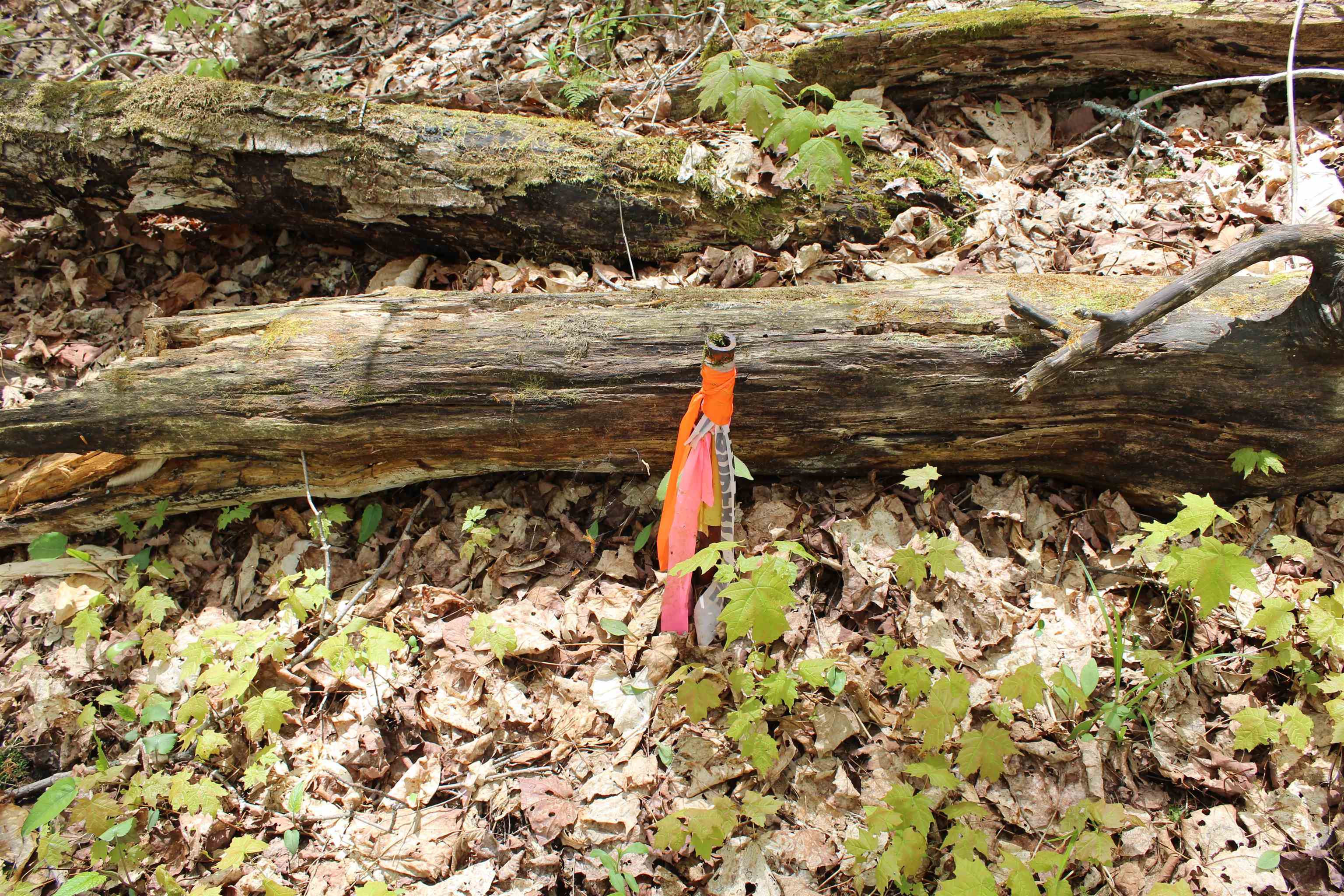 0 Long Hill Road South Woodstock, VT 05071 - Photo 8 of 58