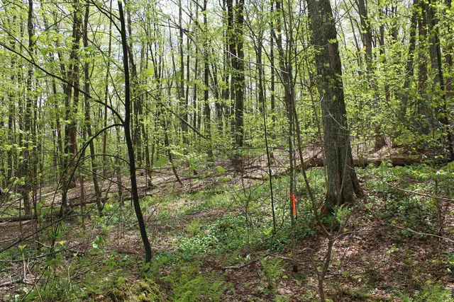 $549,000 | 0 Long Hill Road, South Woodstock, VT 05071