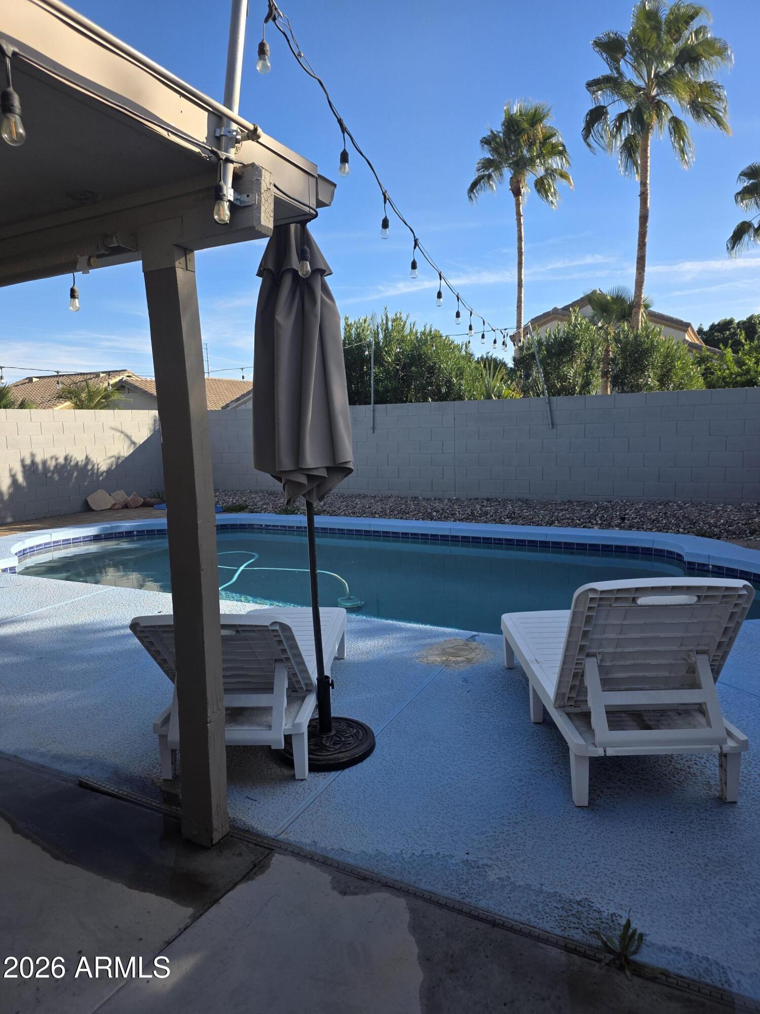 3117 East Escuda Road Phoenix, AZ 85050 - Photo 12 of 14 pool
