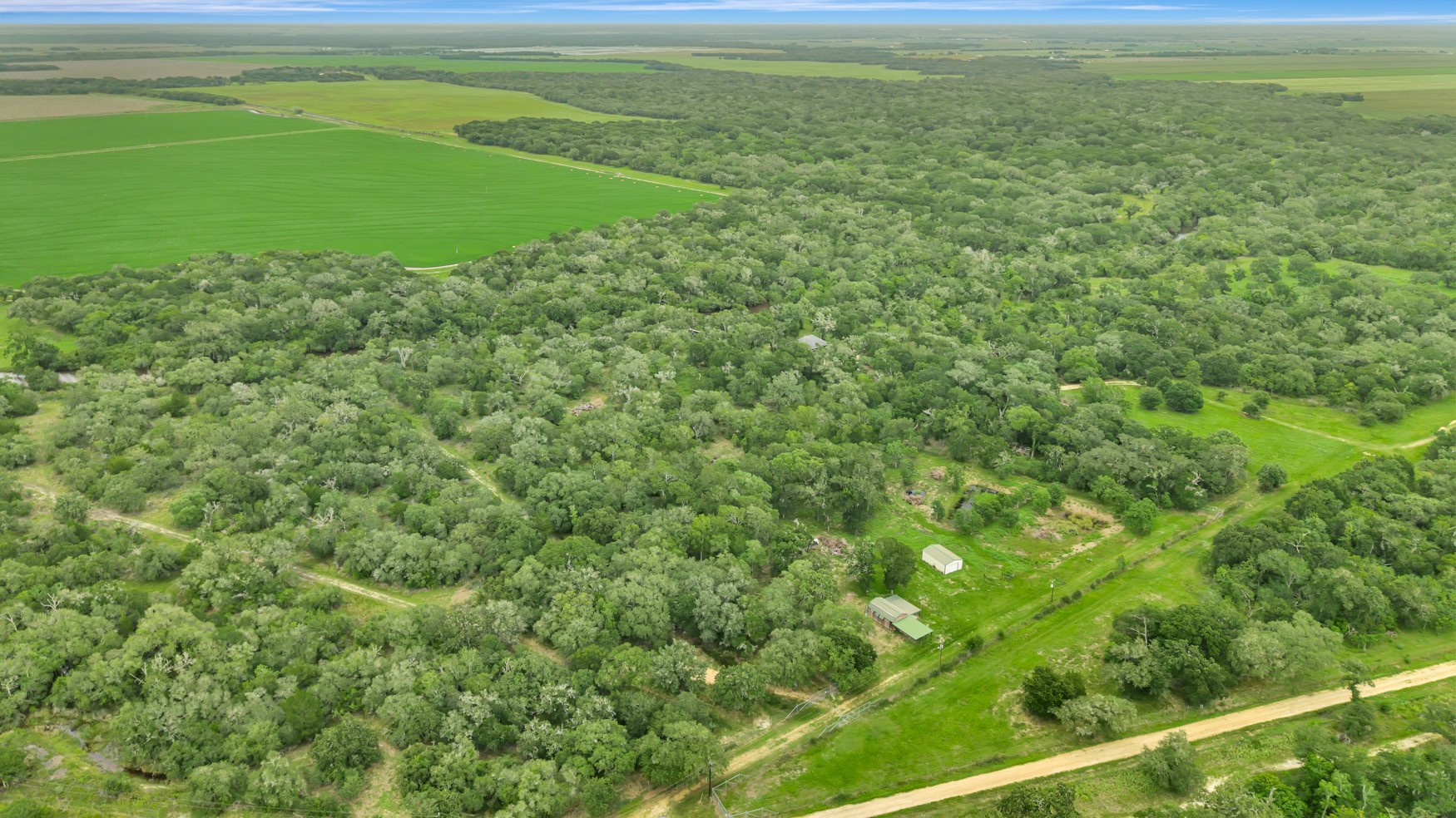 4600 Fm 1862 Road Palacios, TX 77465 - Photo 7 of 43