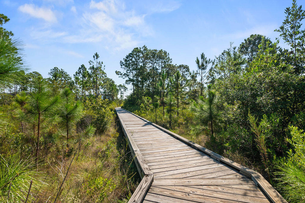 146 Crossing Lane, Unit F Santa Rosa Beach, FL 32459 - Photo 11 of 50 146CrossingLn-48