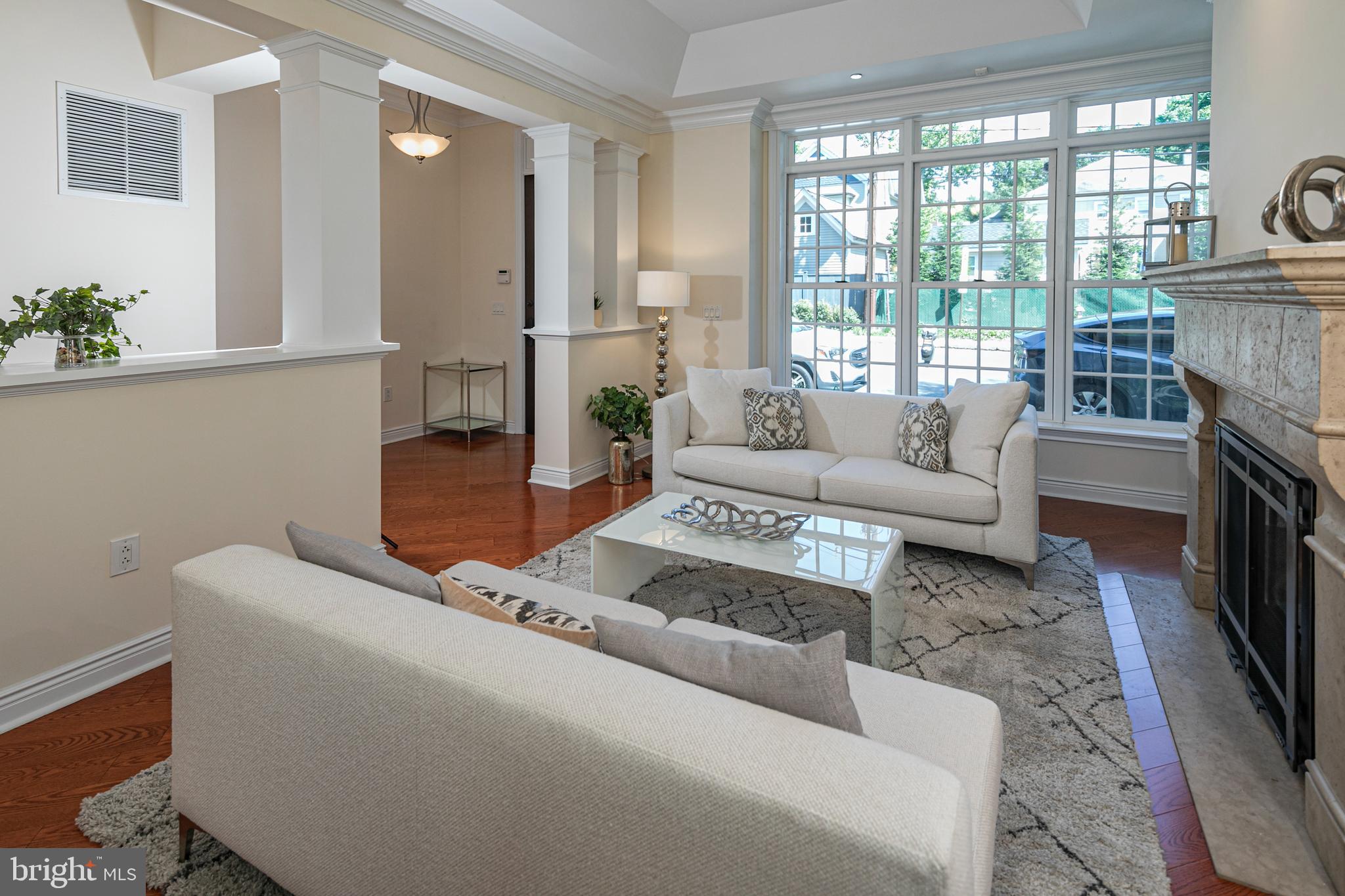 20 Paul Robeson Place Princeton, NJ 08542 - Photo 5 of 32 a living room with furniture and a fireplace