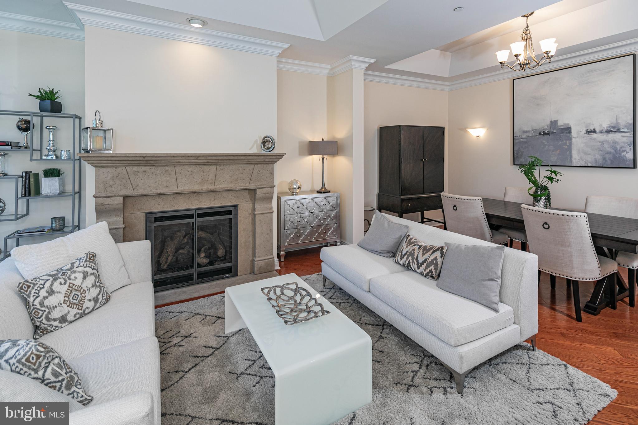 20 Paul Robeson Place Princeton, NJ 08542 - Photo 8 of 32 a living room with furniture and a fireplace