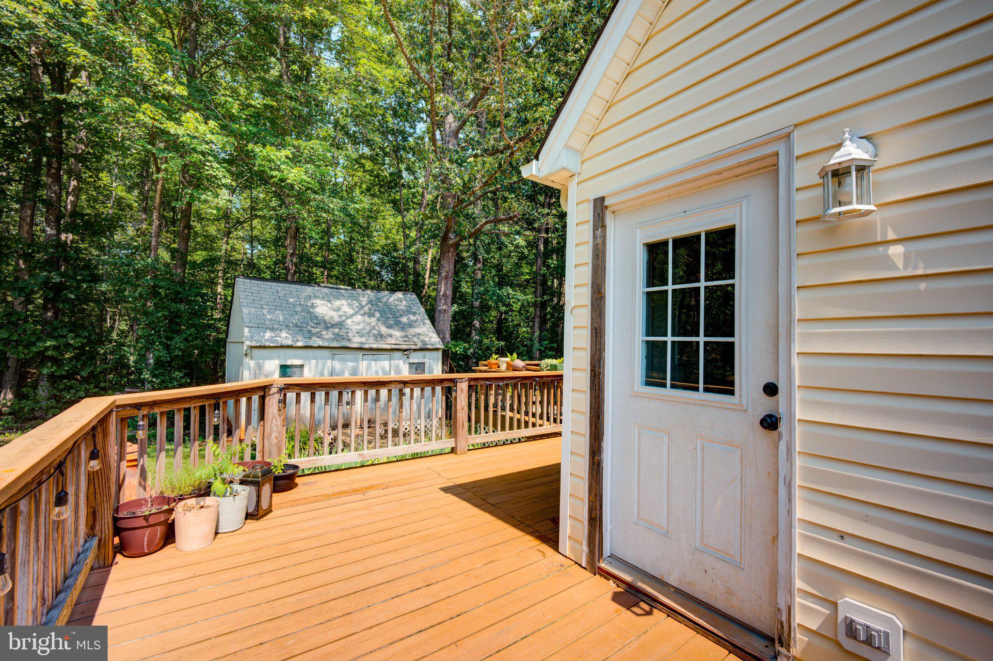 9595 Roys Lane Culpeper, VA 22701 - Photo 51 of 61 Serene deck nestled in nature's embrace.