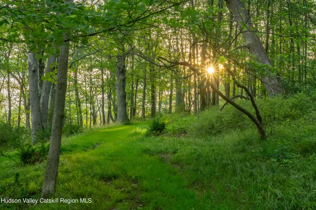 a aerial view of a yard