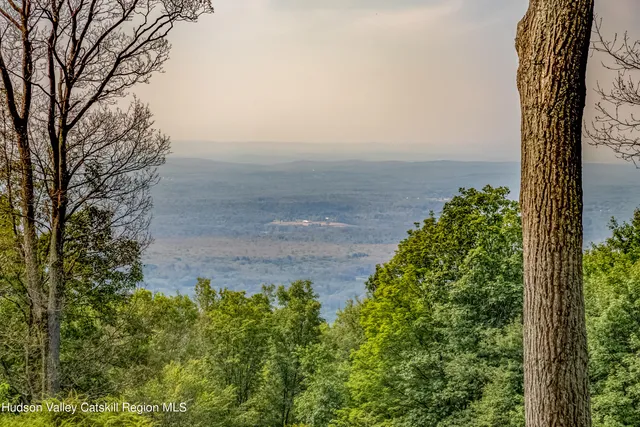 a view of a city with lush green forest
