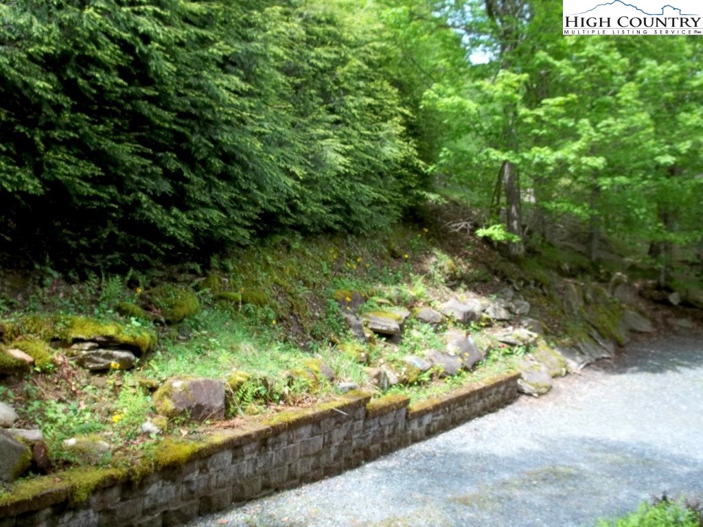 114 Hawthorne Road Beech Mountain, NC 28604 - Photo 20 of 20 Gallery Image 20