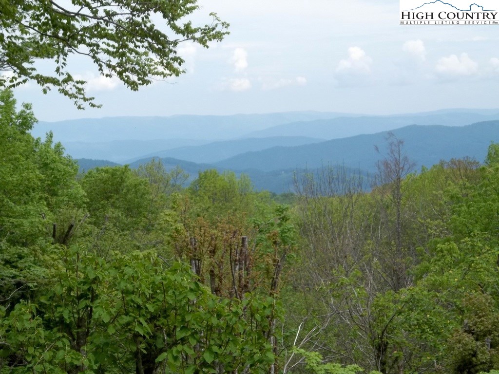 114 Hawthorne Road Beech Mountain, NC 28604 - Photo 5 of 20 Gallery Image 5