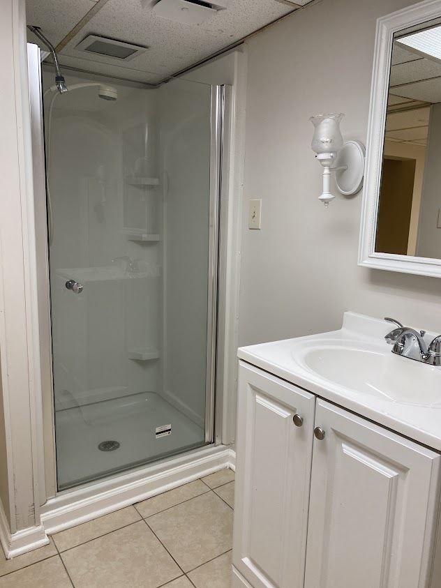 459 West Butterfield Road Elmhurst, IL 60126 - Photo 15 of 17 a bathroom with a shower sink and vanity