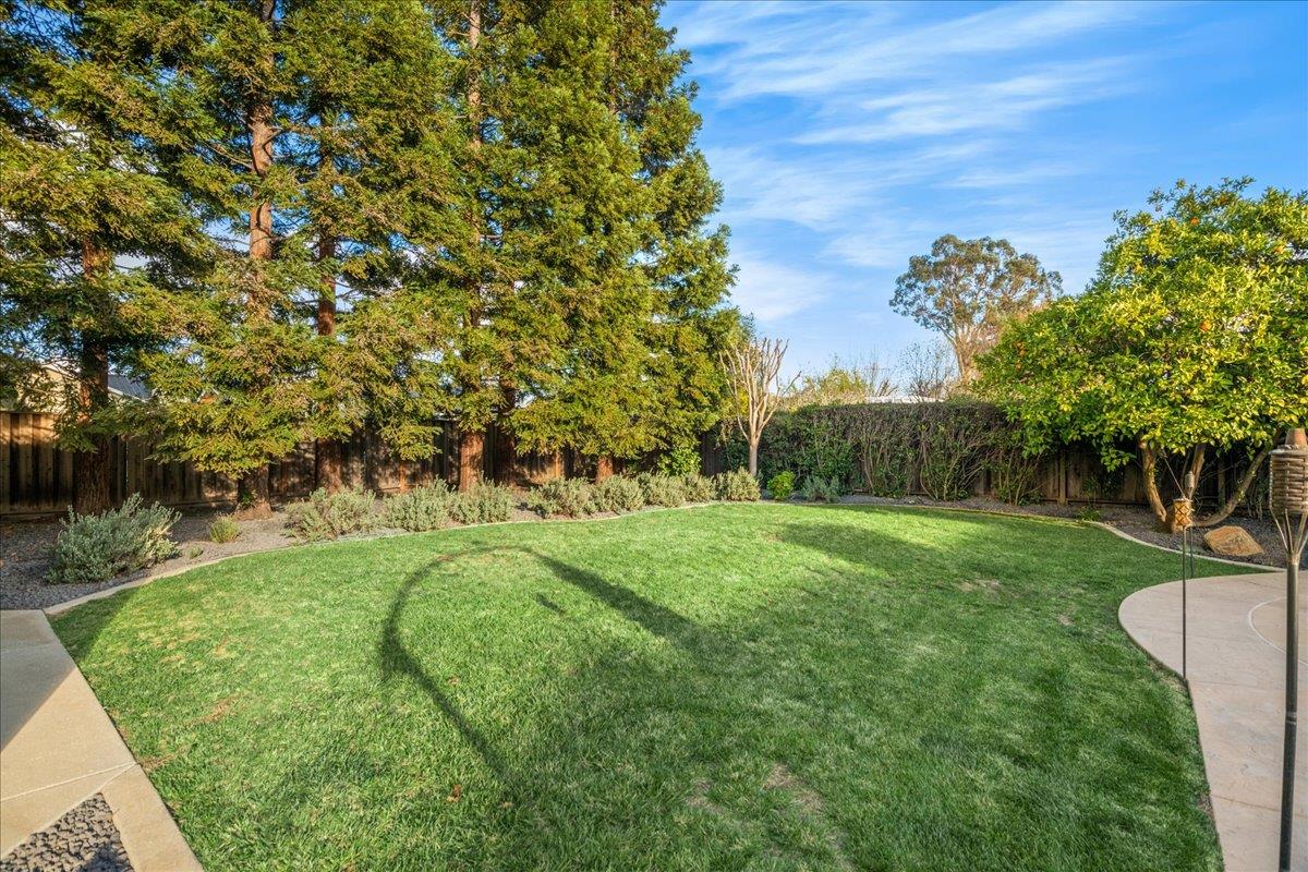 17446 Serene Drive Morgan Hill, CA 95037 - Photo 76 of 82 a view of a golf course with a tree