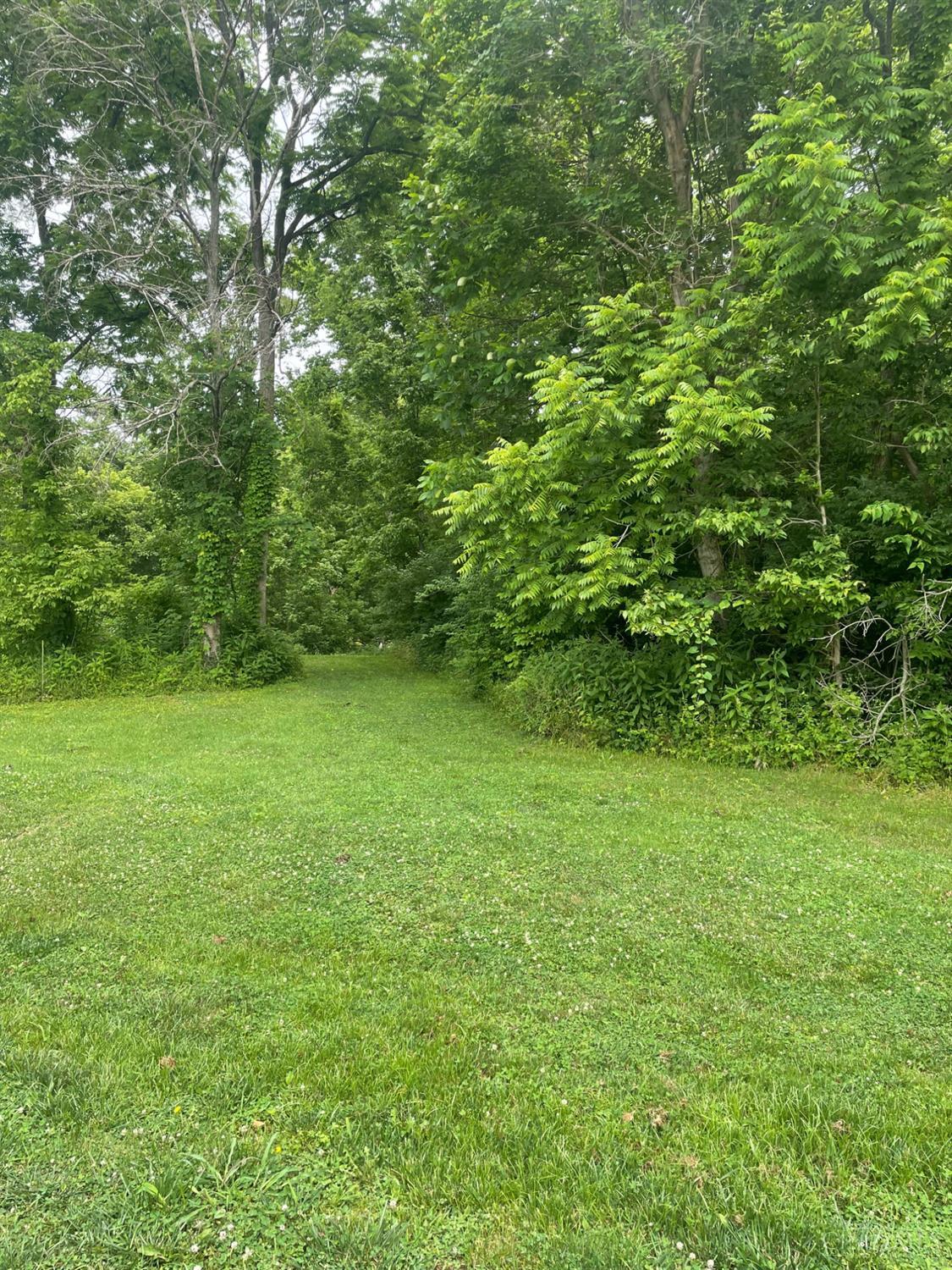 0 Palestine Road New Richmond, OH 45157 - Photo 3 of 3