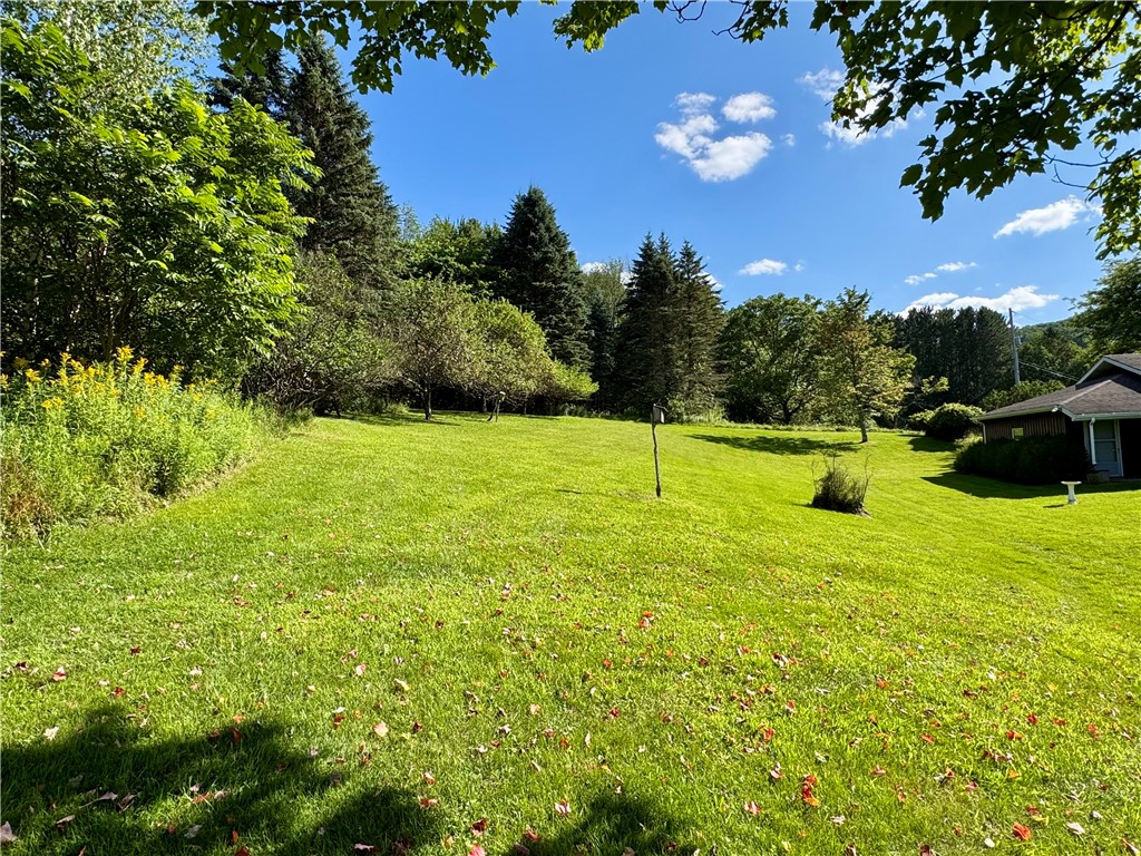 988 Swart Hollow Road Oneonta, NY 13820 - Photo 10 of 47 Gallery Image 10
