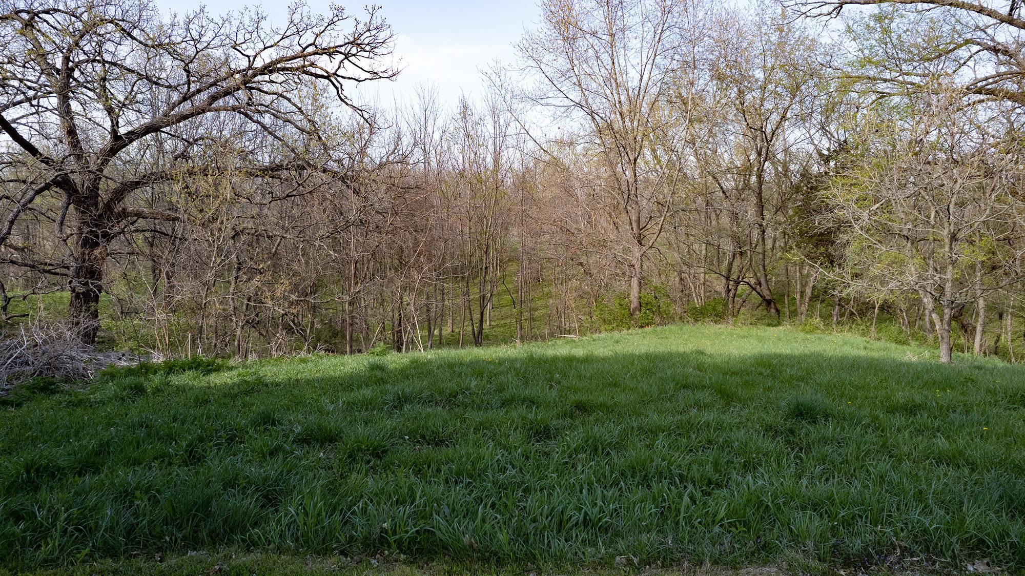 7129 Mill Road Mount Carroll, IL 61053 - Photo 18 of 53 Gallery Image 18