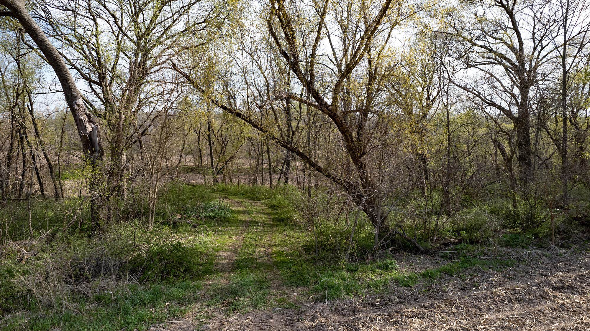 7129 Mill Road Mount Carroll, IL 61053 - Photo 5 of 53 Gallery Image 5