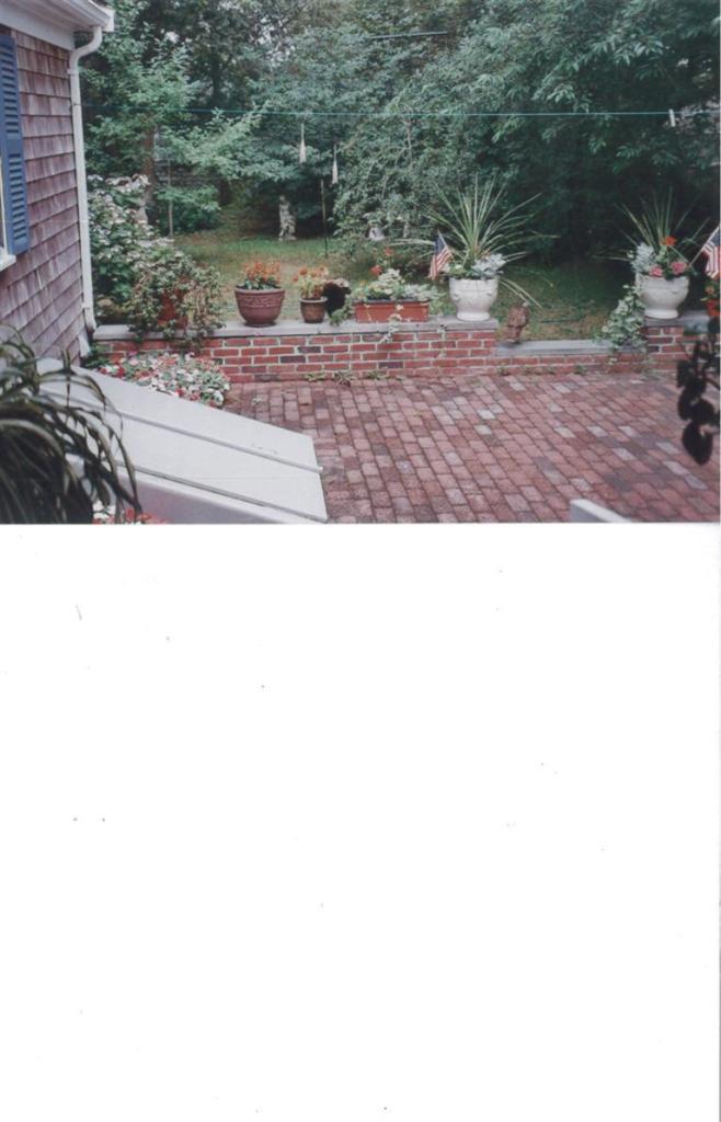 11 Howard Road Harwich, MA 02645 - Photo 3 of 8 a black and white photo of a forest