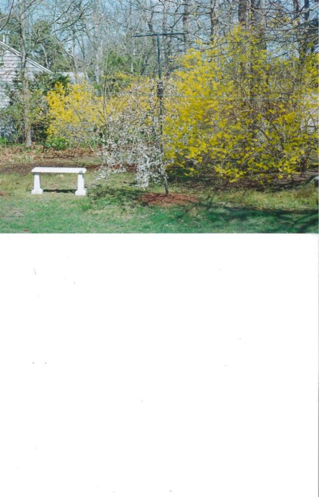 11 Howard Road Harwich, MA 02645 - Photo 5 of 8 a picture of a person on a field