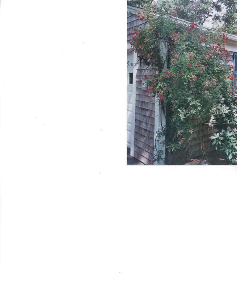 11 Howard Road Harwich, MA 02645 - Photo 6 of 8 a view of city