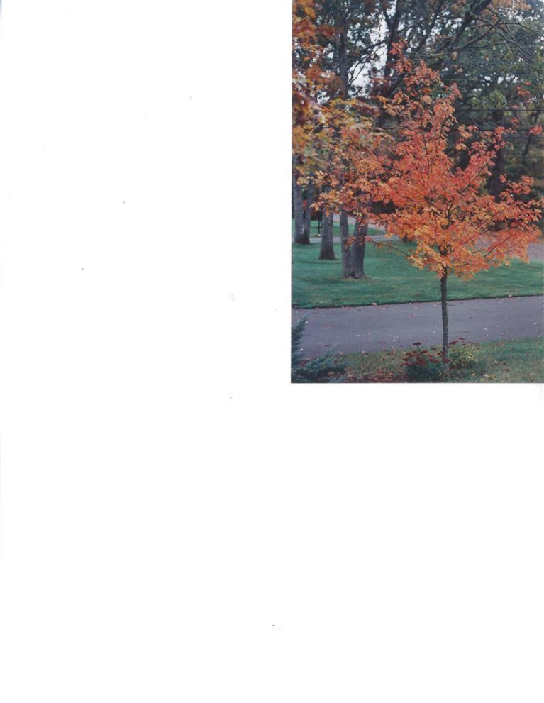 11 Howard Road Harwich, MA 02645 - Photo 7 of 8 a picture of a person