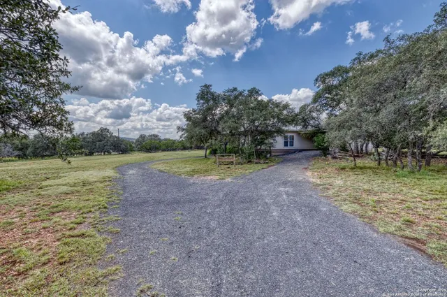 a view of a house with backyard and a tree