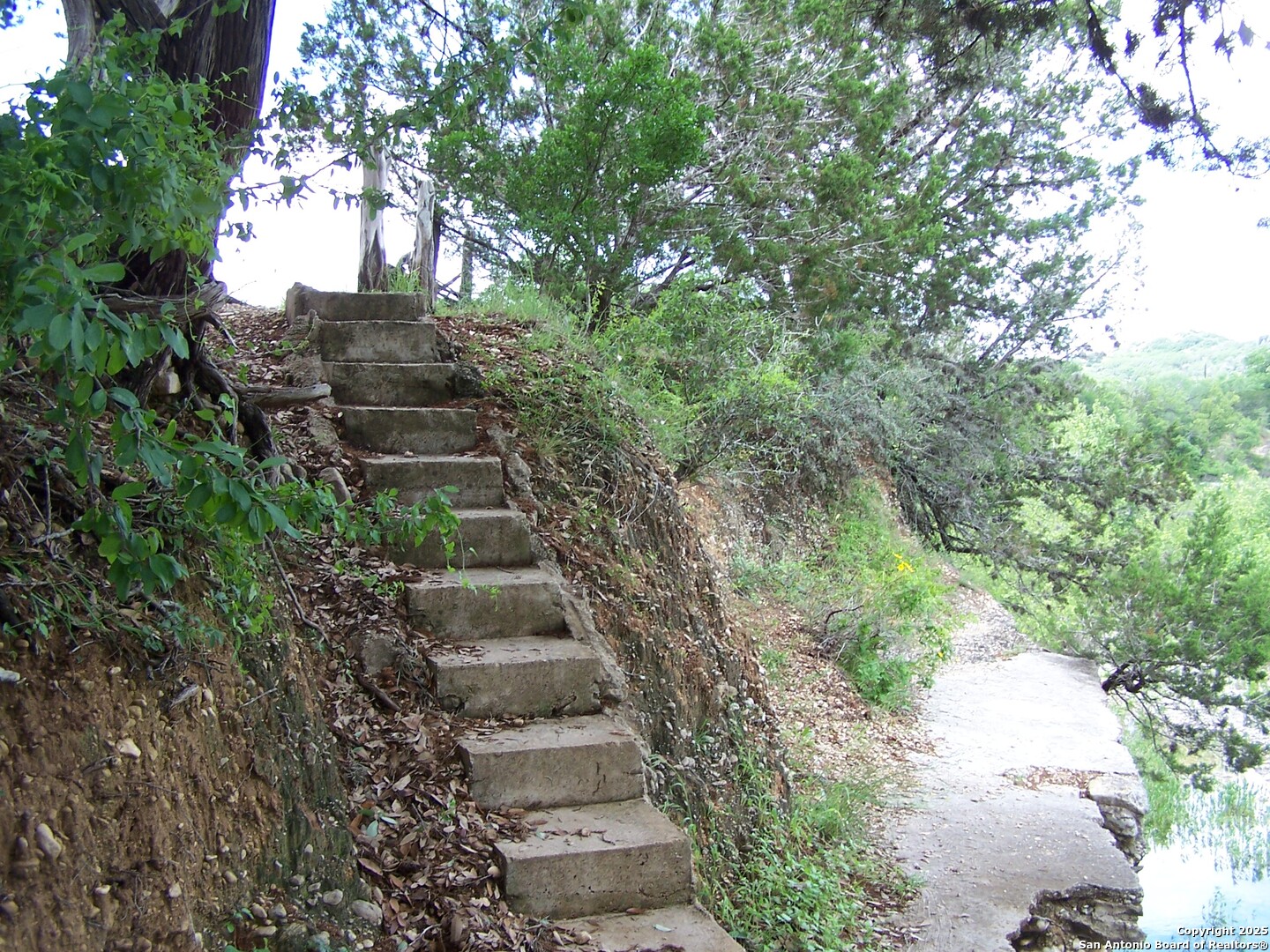 565 Loop Road Uvalde, TX 78801 - Photo 68 of 78 a view of a yard with plants and a large tree