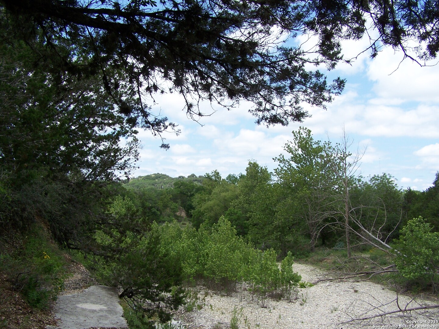 565 Loop Road Uvalde, TX 78801 - Photo 69 of 78 a view of a trees with a tree
