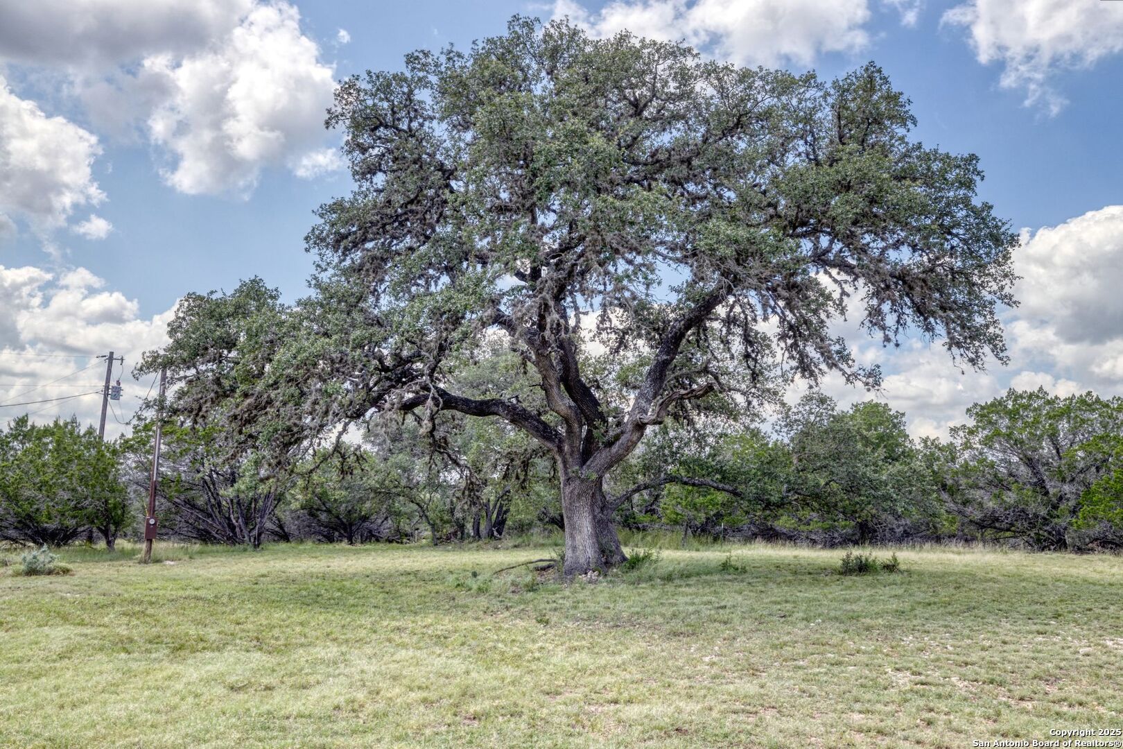 565 Loop Road Uvalde, TX 78801 - Photo 7 of 78 a big yard with lots of green space and plants