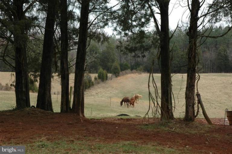 6636 Monumental Mills Road Rixeyville, VA 22737 - Photo 2 of 14 Pasture