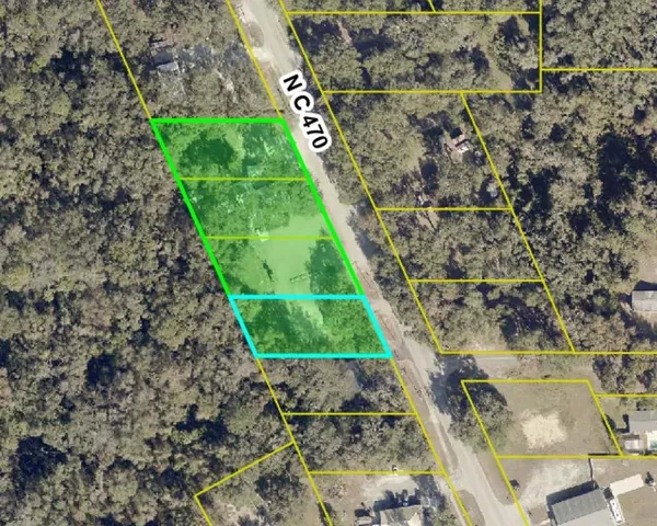 $1,200,000 | Undisclosed Address, Lake Panasoffkee, FL 33538