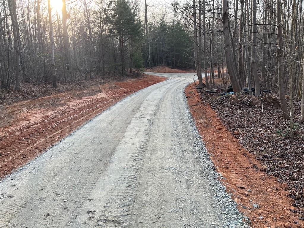 Tbd Money Road, Unit LOT 5 AND 6 Dobson, NC 27017 - Photo 3 of 21 Gallery Image 3