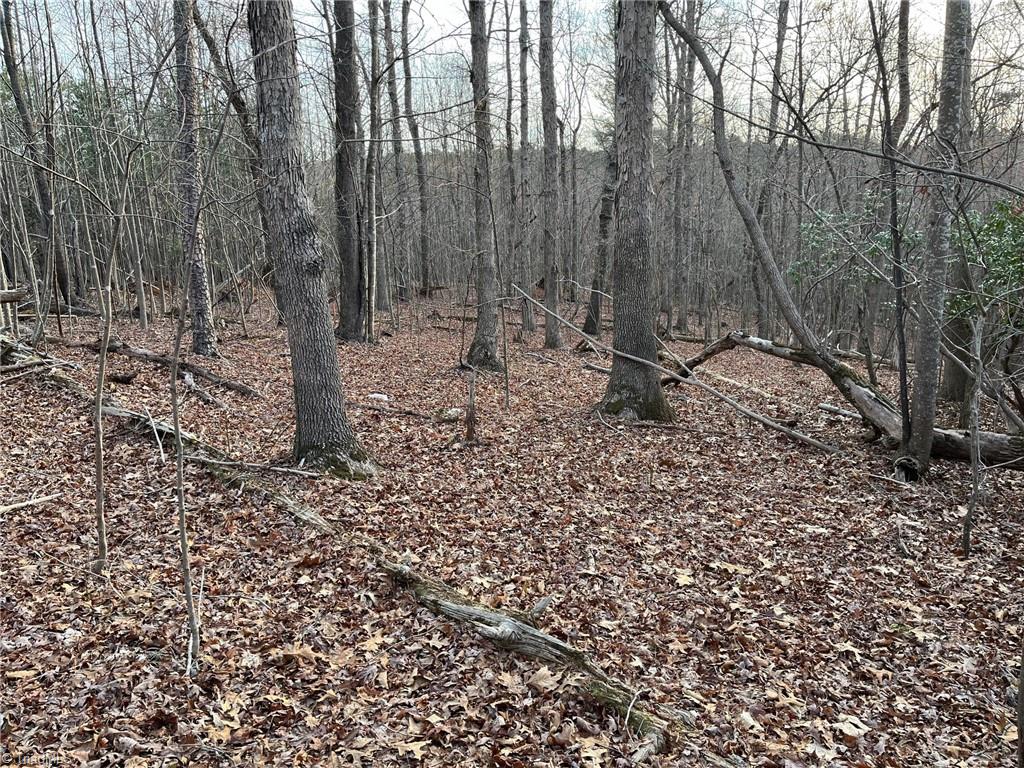 Tbd Money Road, Unit LOT 5 AND 6 Dobson, NC 27017 - Photo 8 of 21 Gallery Image 8