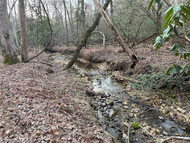 Tbd Money Road, Unit LOT 5 AND 6 Dobson, NC 27017 - Photo 10 of 21 Gallery Image 10