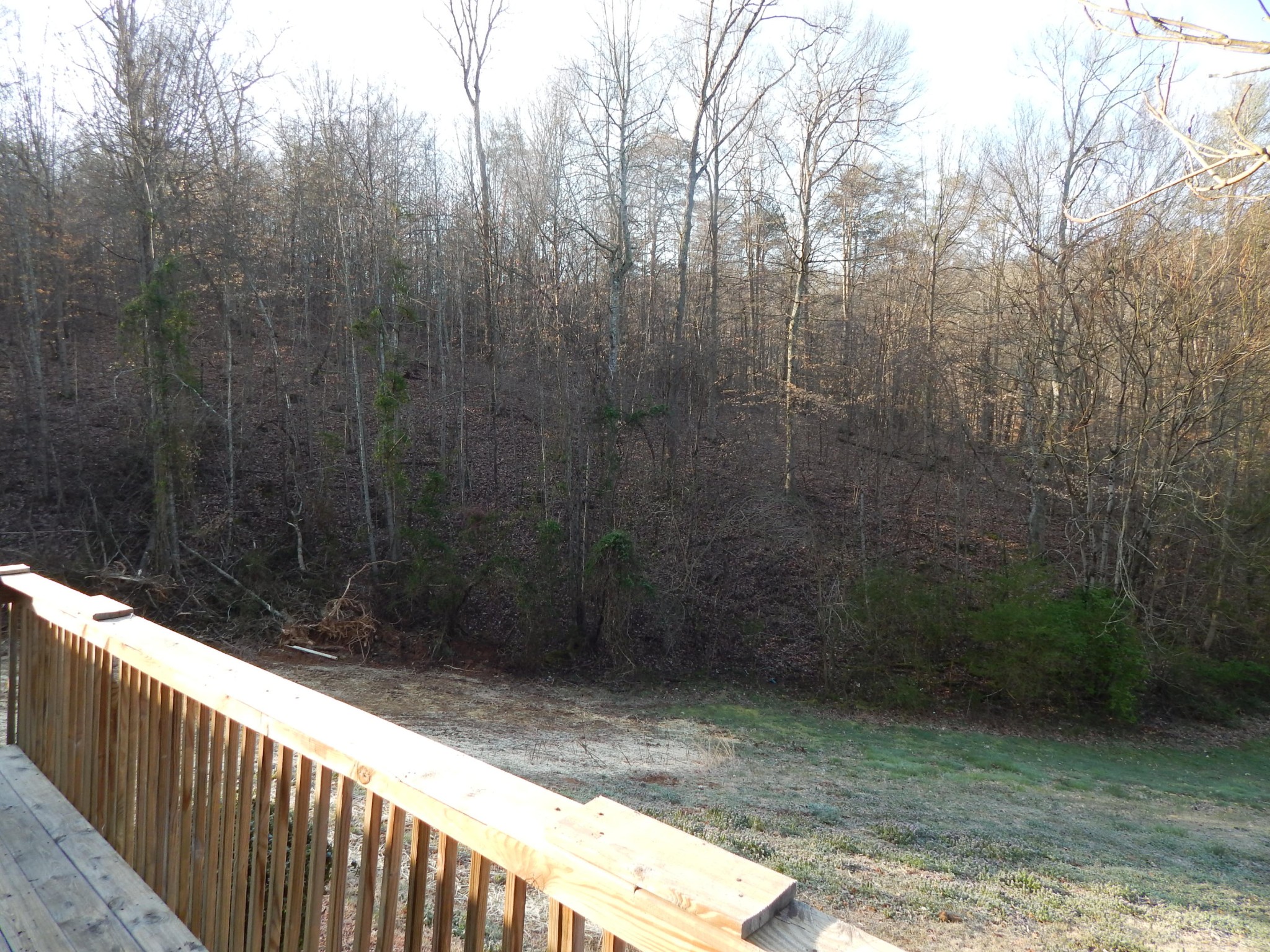 193 Crisman Road Heiskell, TN 37754 - Photo 3 of 31 a view of a small yard