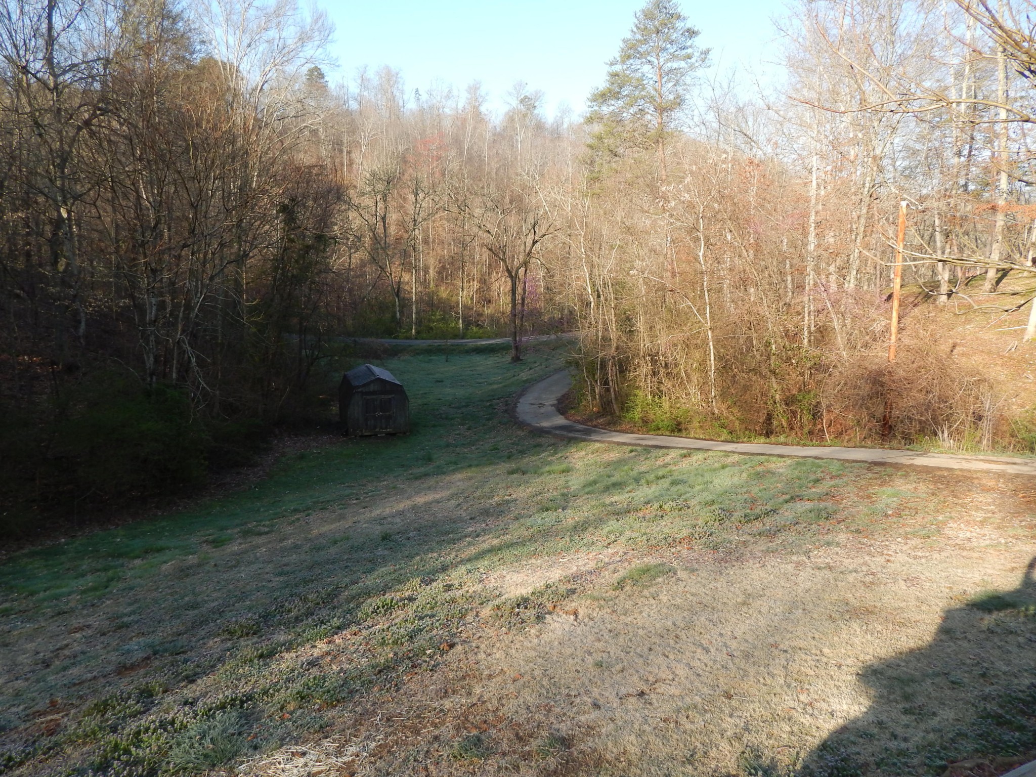 193 Crisman Road Heiskell, TN 37754 - Photo 4 of 31 a view of a backyard with trees