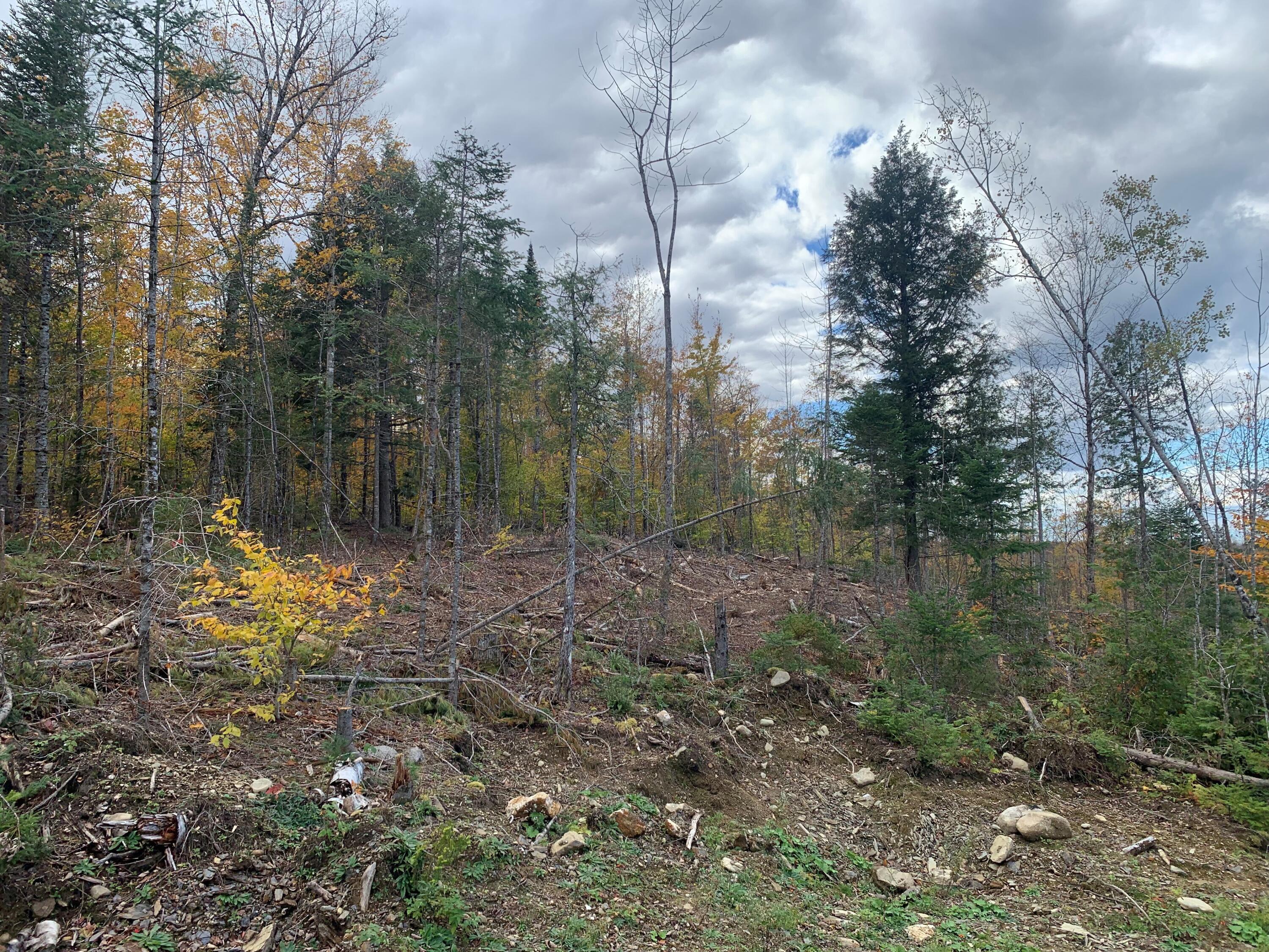 0 Sheepskin Road Carroll Plt, ME 04487 - Photo 12 of 17 MLS12