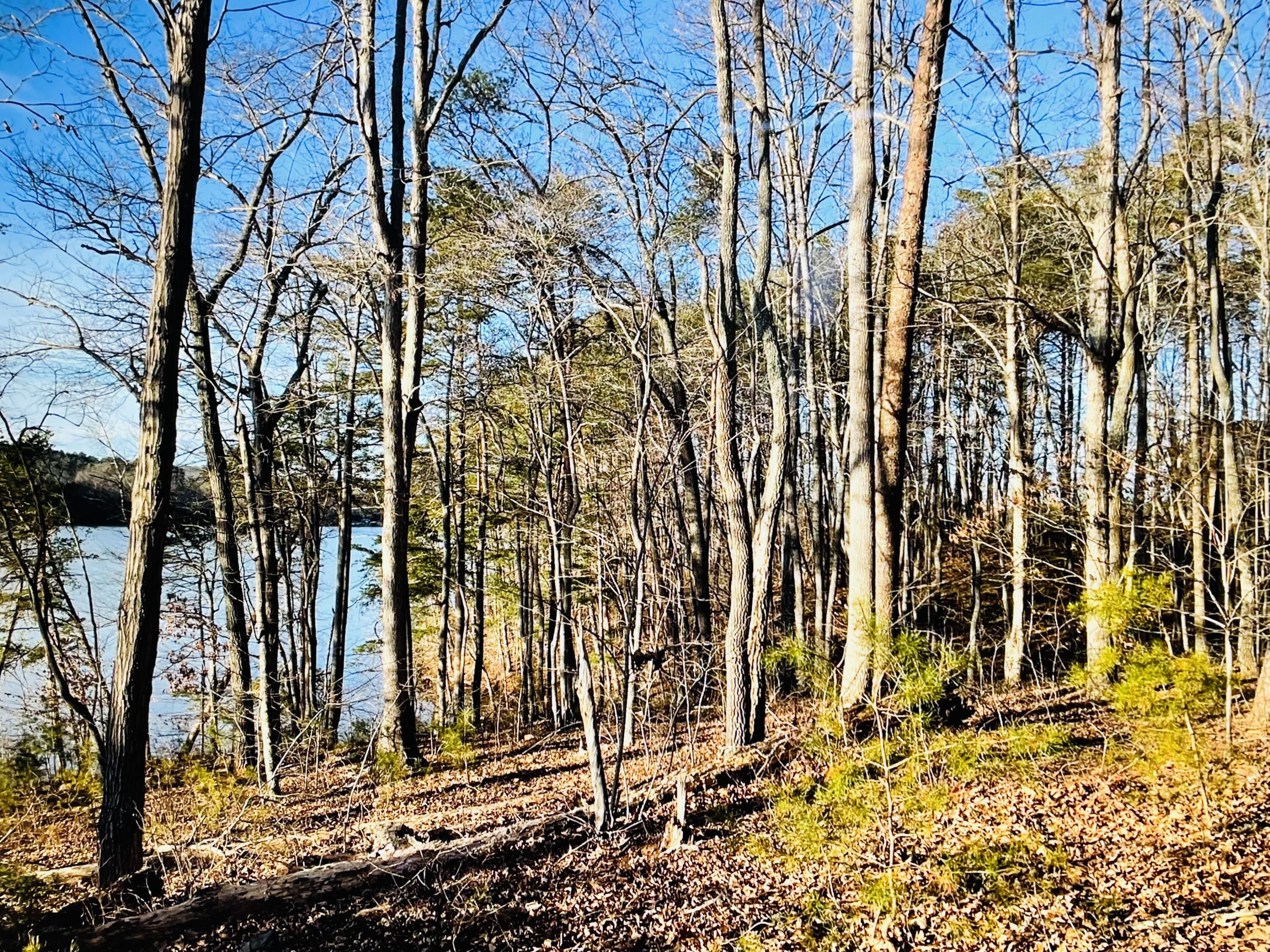 Lot 34 Water View Gretna, VA 24557 - Photo 4 of 5