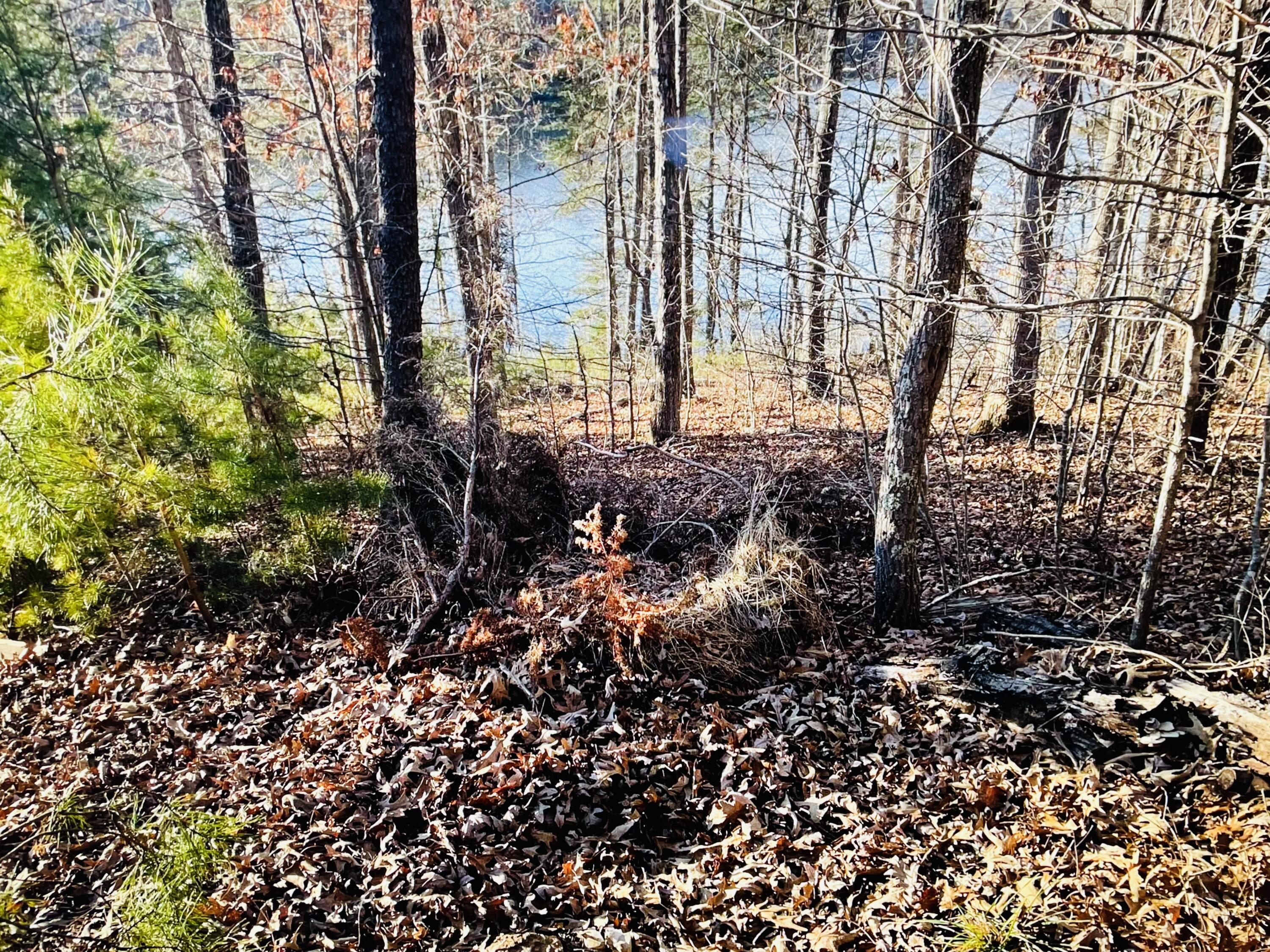 Lot 34 Water View Gretna, VA 24557 - Photo 5 of 5 a view of a garden