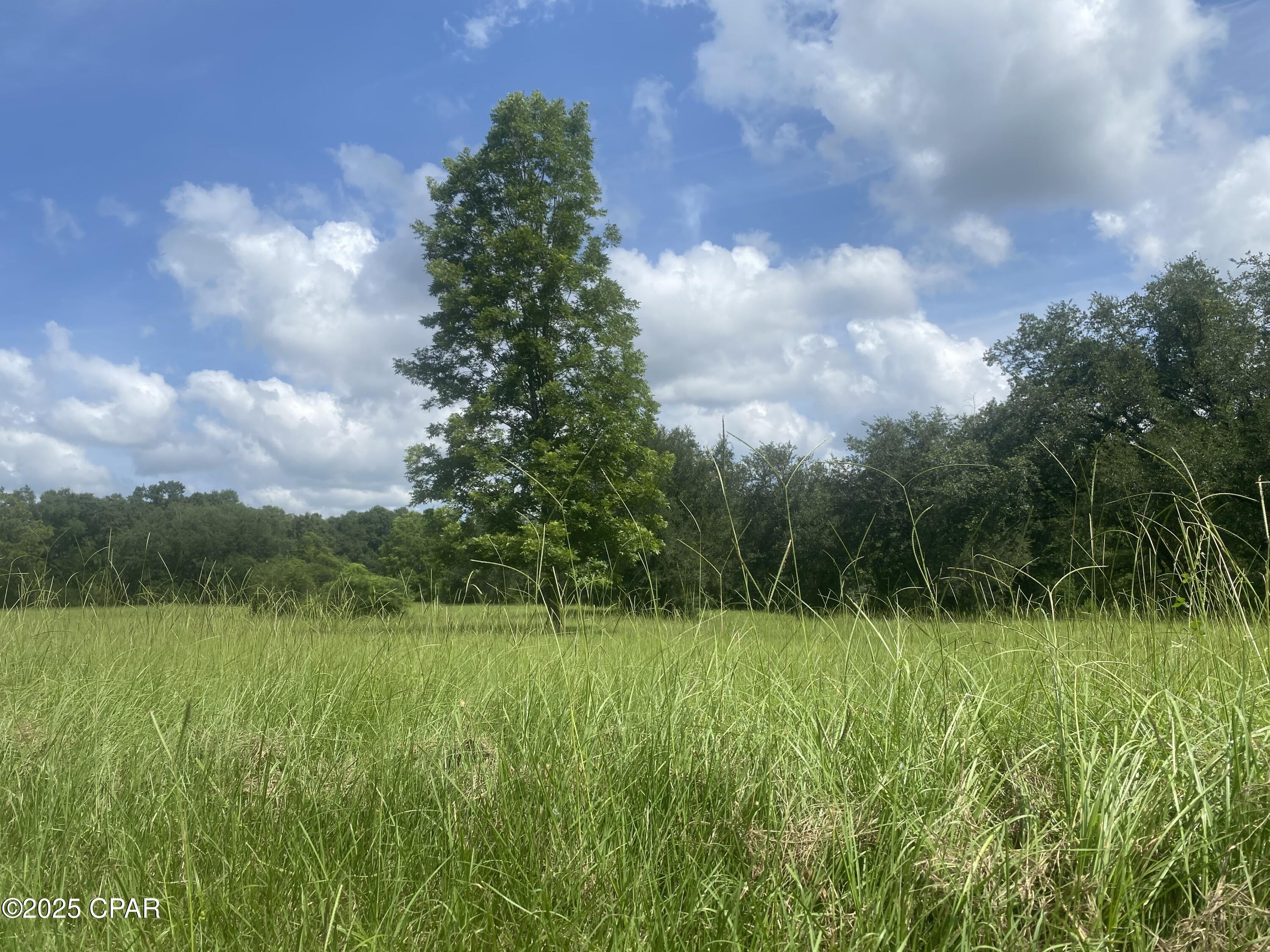 2038 Caney Branch Road Bonifay, FL 32425 - Photo 16 of 38 Gallery Image 16