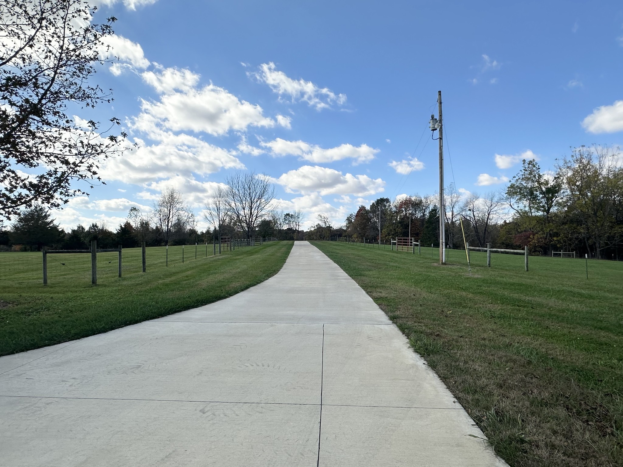 a view of a park and entertaining space