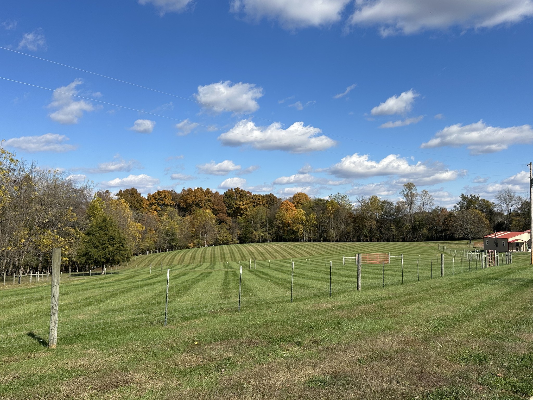 11144 Franklin Road Franklin, KY 42134 - Photo 15 of 47 a view of an outdoor space and yard