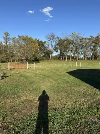 a view of a field with a big yard