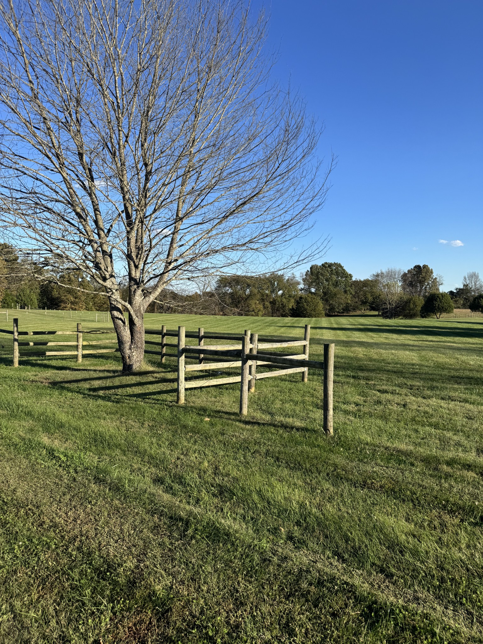 11144 Franklin Road Franklin, KY 42134 - Photo 19 of 47 a view of a park