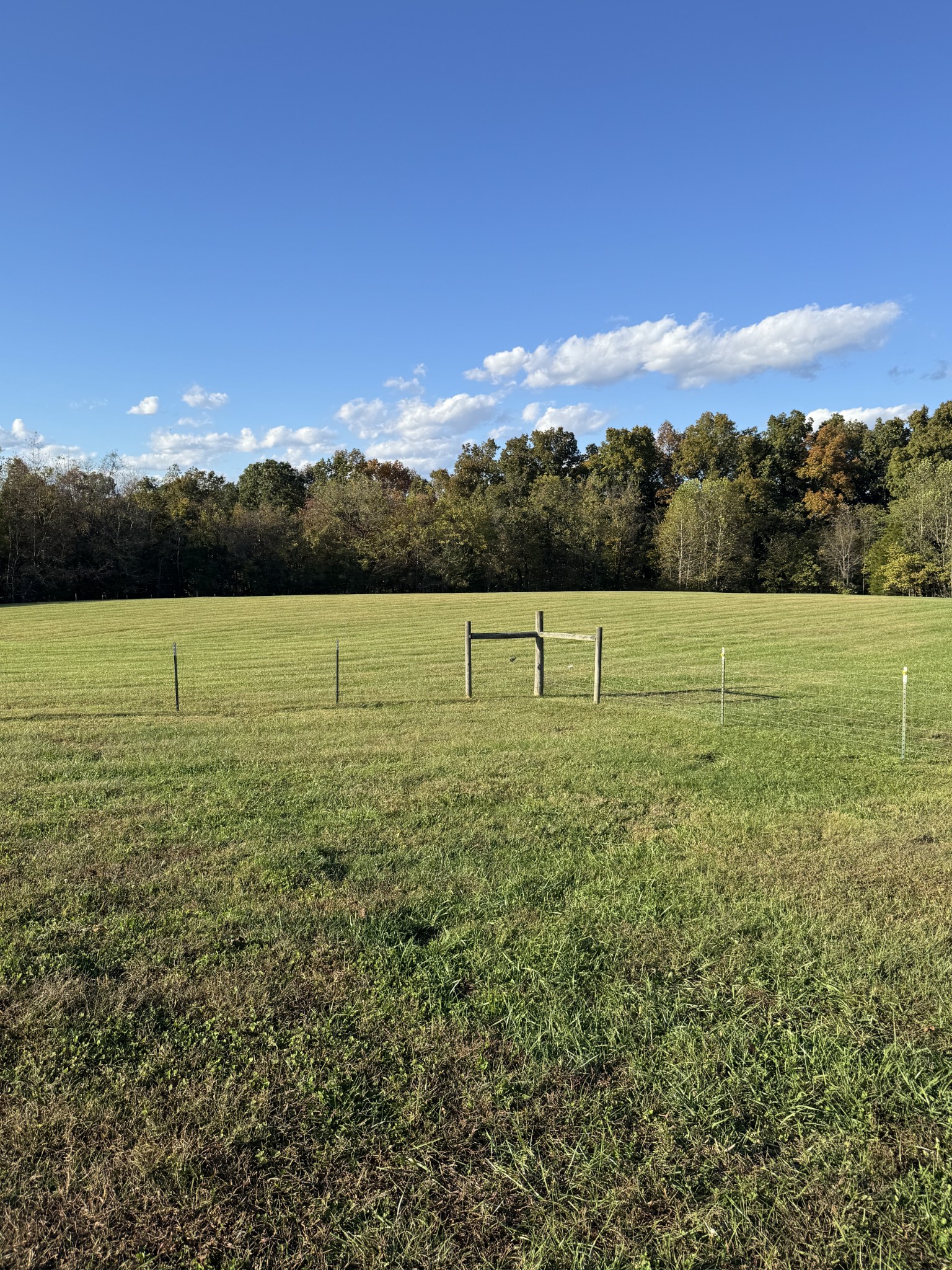 11144 Franklin Road Franklin, KY 42134 - Photo 20 of 47 a view of an ocean from a yard
