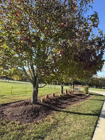a view of a park