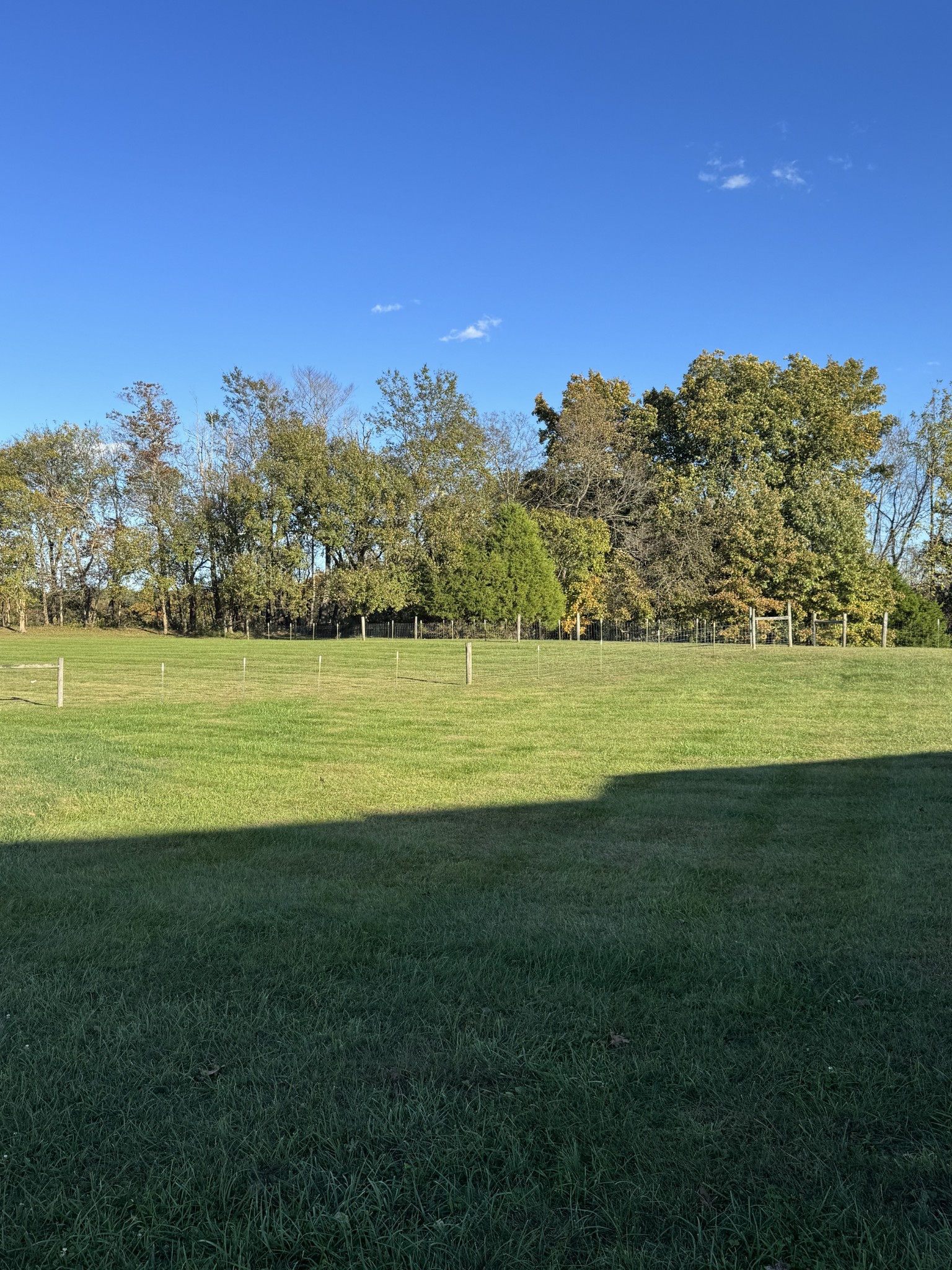11144 Franklin Road Franklin, KY 42134 - Photo 25 of 47 a view of a big yard with a large trees