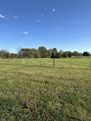 a view of a yard with trees