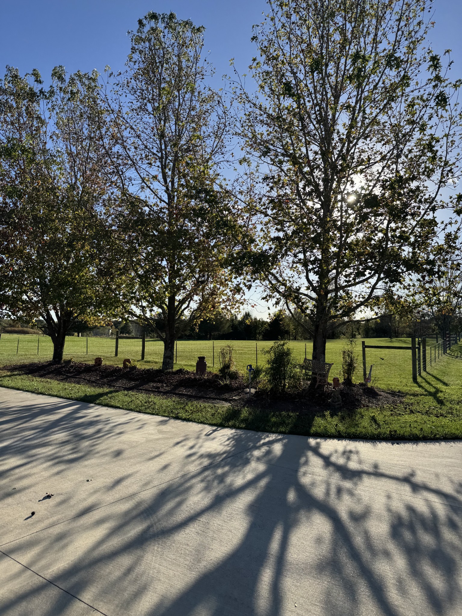 11144 Franklin Road Franklin, KY 42134 - Photo 28 of 47 a view of a yard with trees