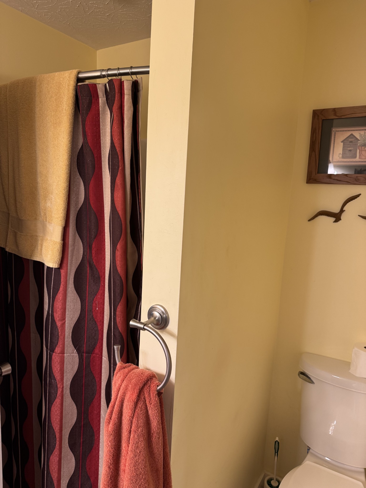 11144 Franklin Road Franklin, KY 42134 - Photo 40 of 47 a bathroom with a shower curtain and a toilet