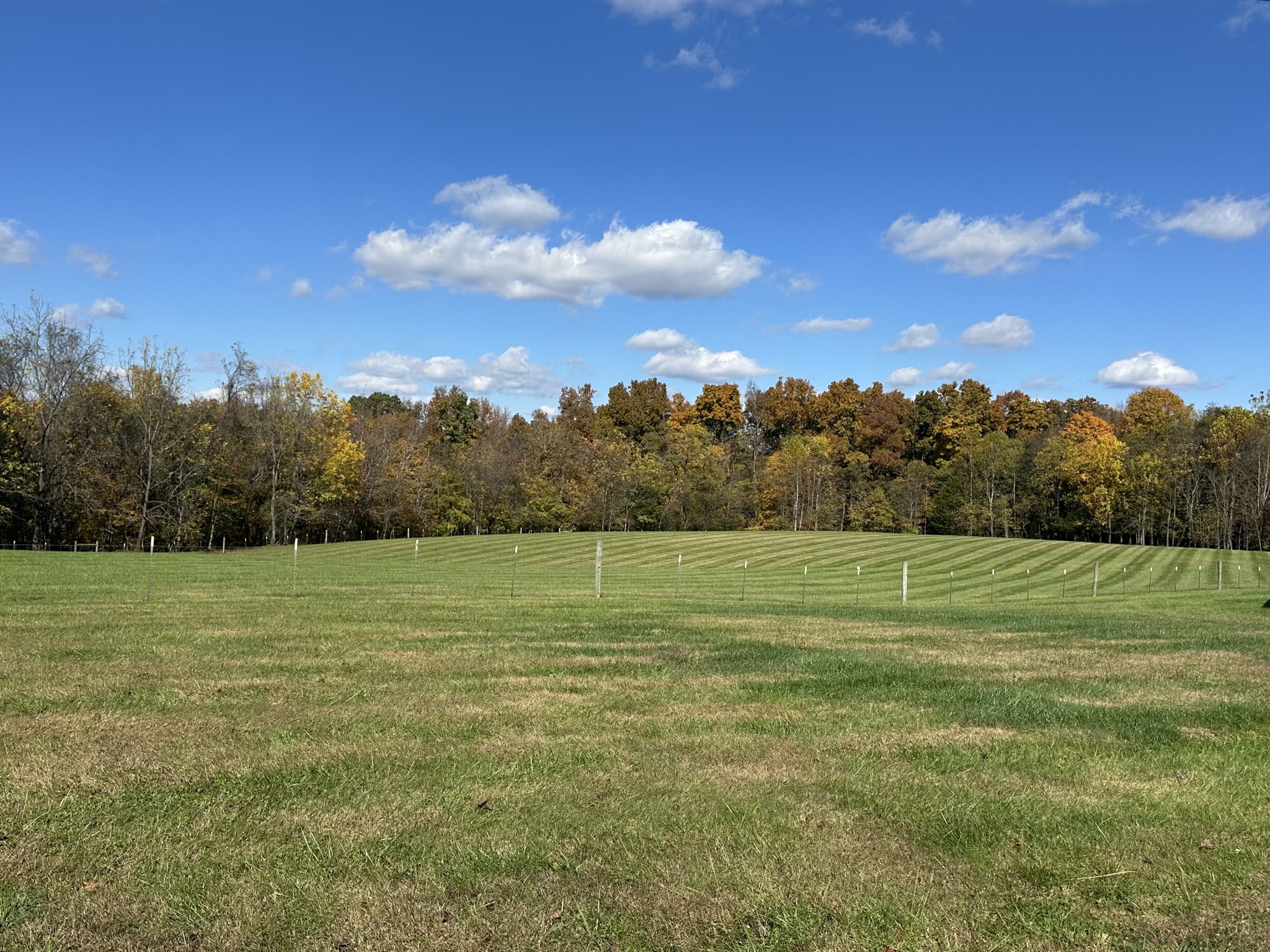11144 Franklin Road Franklin, KY 42134 - Photo 45 of 47 a view of field with trees in background