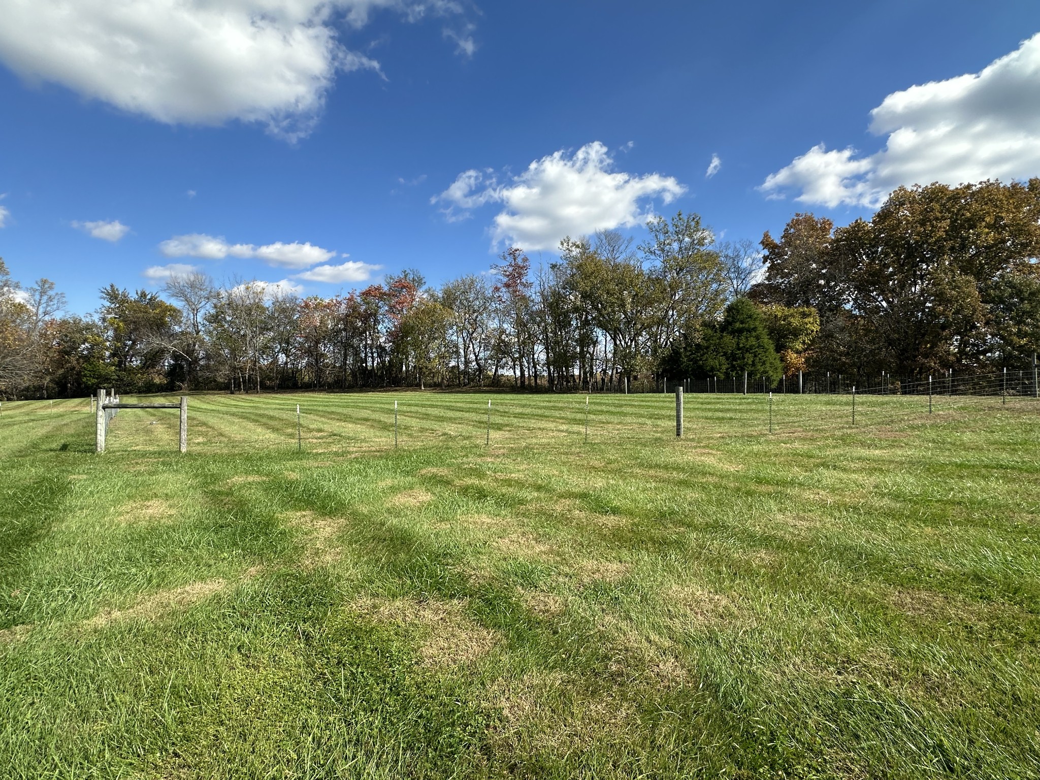11144 Franklin Road Franklin, KY 42134 - Photo 46 of 47 a view of a basketball court
