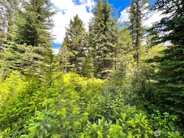a view of a tree with a yard